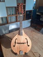 Ortega mandoline, Muziek en Instrumenten, Snaarinstrumenten | Mandolines, Ophalen, Zo goed als nieuw