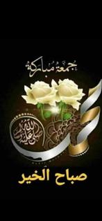 Jdks, Enlèvement ou Envoi, Comme neuf