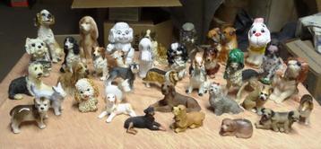 collections beschikbaar voor biedingen