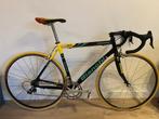 Bianchi XL EV2 Mega Pro Pantani Record Titanium retro vintag, Enlèvement