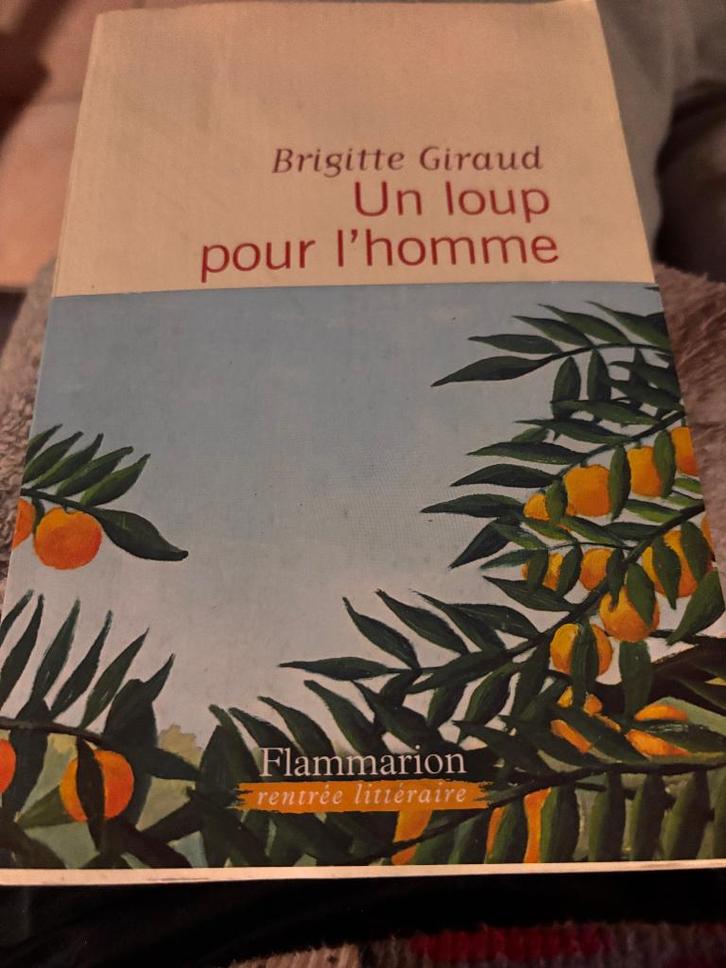 Un loup pour l'homme, Boeken, Romans, Ophalen of Verzenden