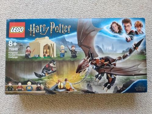 LEGO: Harry Potter en Draak, Verzamelen, Harry Potter, Zo goed als nieuw, Ophalen of Verzenden