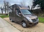 Camionnette pour chevaux à vendre, Animaux & Accessoires, Enlèvement, Utilisé, Aluminium, Remorque 2 chevaux