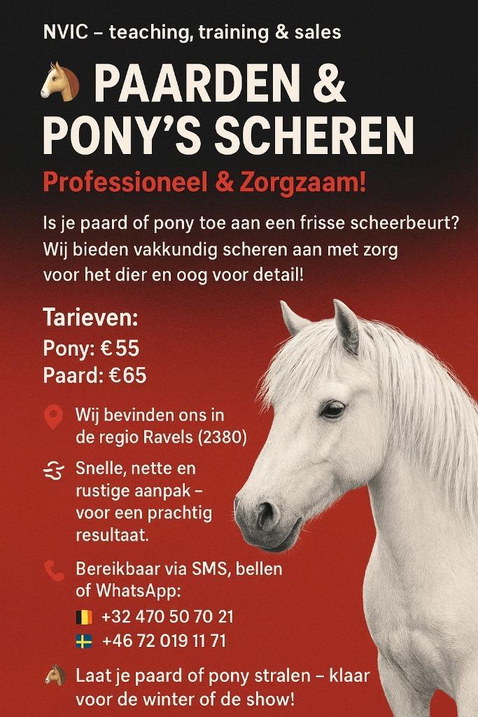 Scheren van paarden en pony's, Dieren en Toebehoren, Paarden