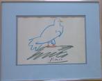PABLO PICASSO / VREDESDUIF / KLEURLITHO / 41x51cm / KADER, Ophalen of Verzenden
