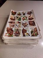 Kleurprenten, Enlèvement, 1940 à 1960, Comme neuf, Gravure