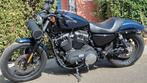 HARLEY SPORTSTER IRON 883 MOTORFIETS, Motoren, 4 cilinders, Chopper, 883 cc, Particulier