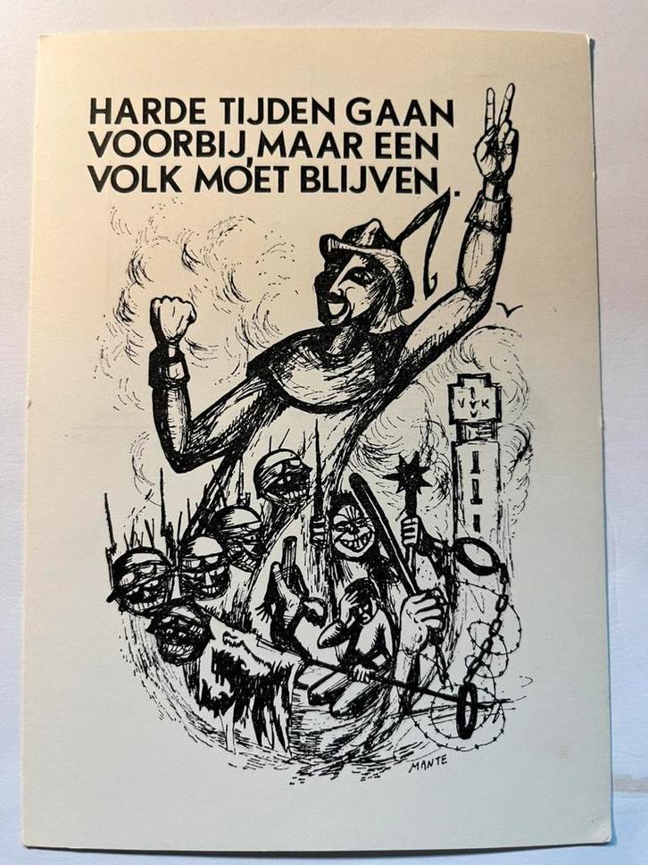 Zeldzame postkaarten Vlaamse Beweging, Verzamelen, Postkaarten | Themakaarten, Ongelopen, 1940 tot 1960, Politiek en Historie