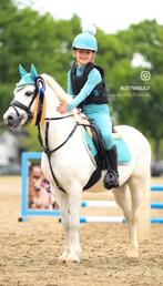 Super leuke sport B pony, Dieren en Toebehoren, B, Gechipt, Ruin, B pony (1.17m tot 1.27m)
