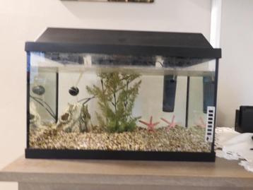 klein aquarium beschikbaar voor biedingen