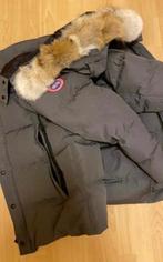 Canada Goose Wyndham parka veste d'hiver, Enlèvement, Neuf, Taille 52/54 (L), Gris