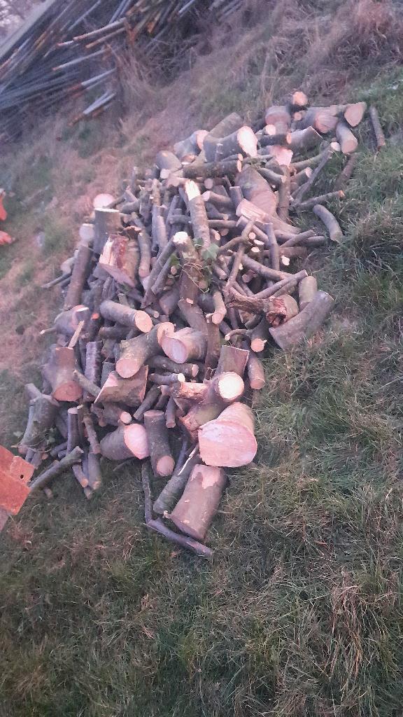 4 grandes palmes de bois de chauffage (hêtre/bois dur), Jardin & Terrasse, Bois de chauffage, Bûches, Hêtre, 3 à 6 m³, Enlèvement