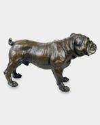Groot Zwaar Bronzen Beeld van een Engelse Bulldog GRATIS LEV, Verzenden, Brons