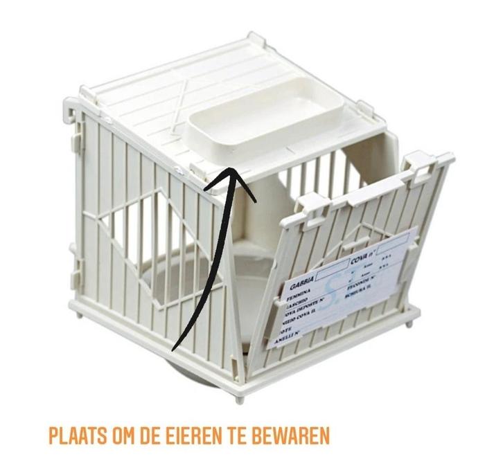 Keizersnest deluxe Wit Ø80mm / Galileo (N002 BG), Dieren en Toebehoren, Vogels | Toebehoren, Nieuw, Ophalen