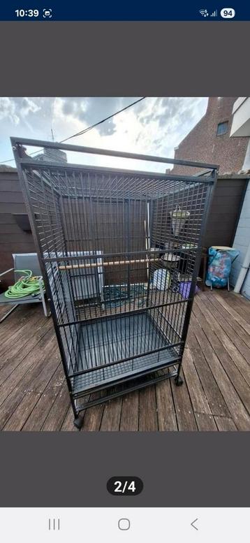Papegaaienkooi of grote parkietsoorten  beschikbaar voor biedingen