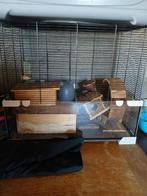 Hamster kooi., Ophalen, Zo goed als nieuw, Kooi, Hamster