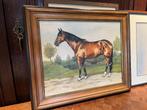 schilderij paard Catherine Thiry 1986, Ophalen