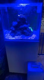 Red sea reefer 170 nano max, Ophalen of Verzenden, Zo goed als nieuw