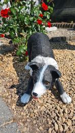 Spelende border collie, Tuin en Terras, Tuinbeelden, Ophalen, Nieuw, Kunststof, Dierenbeeld