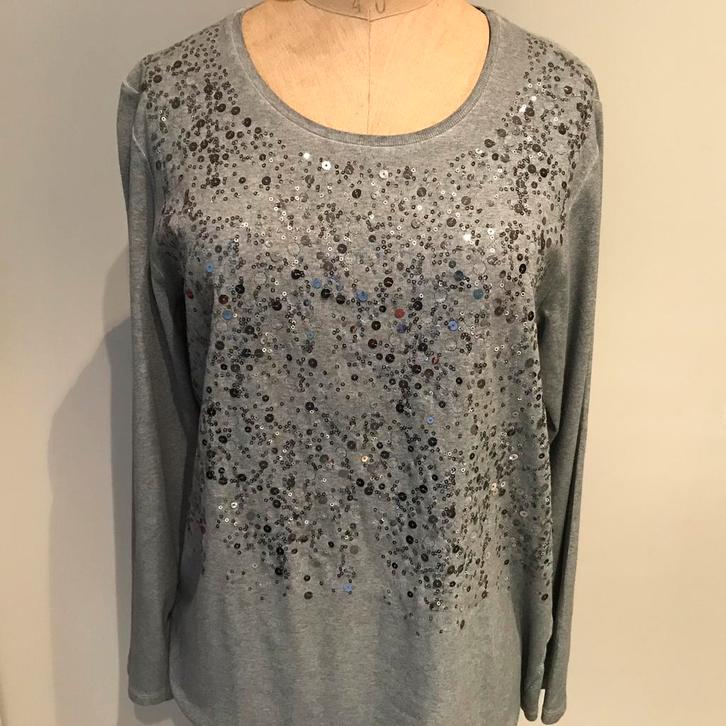 T-shirt Hauber, maat XL, Kleding | Dames, T-shirts, Zo goed als nieuw, Maat 46/48 (XL) of groter, Grijs, Ophalen of Verzenden