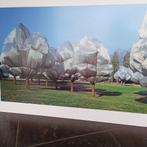 Arbres enveloppés par Christo, Enlèvement ou Envoi