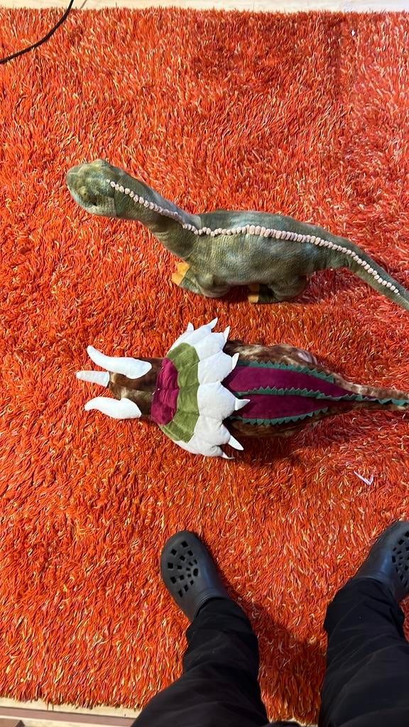 Grote dino knuffel, Ophalen, Nieuw, Middelgroot (20 tot 80 cm), Meerkleurig