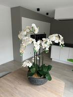 Plante d'orchidée artificielle, Maison & Meubles, Accessoires pour la Maison | Plantes & Fleurs artificielles, Enlèvement, Comme neuf
