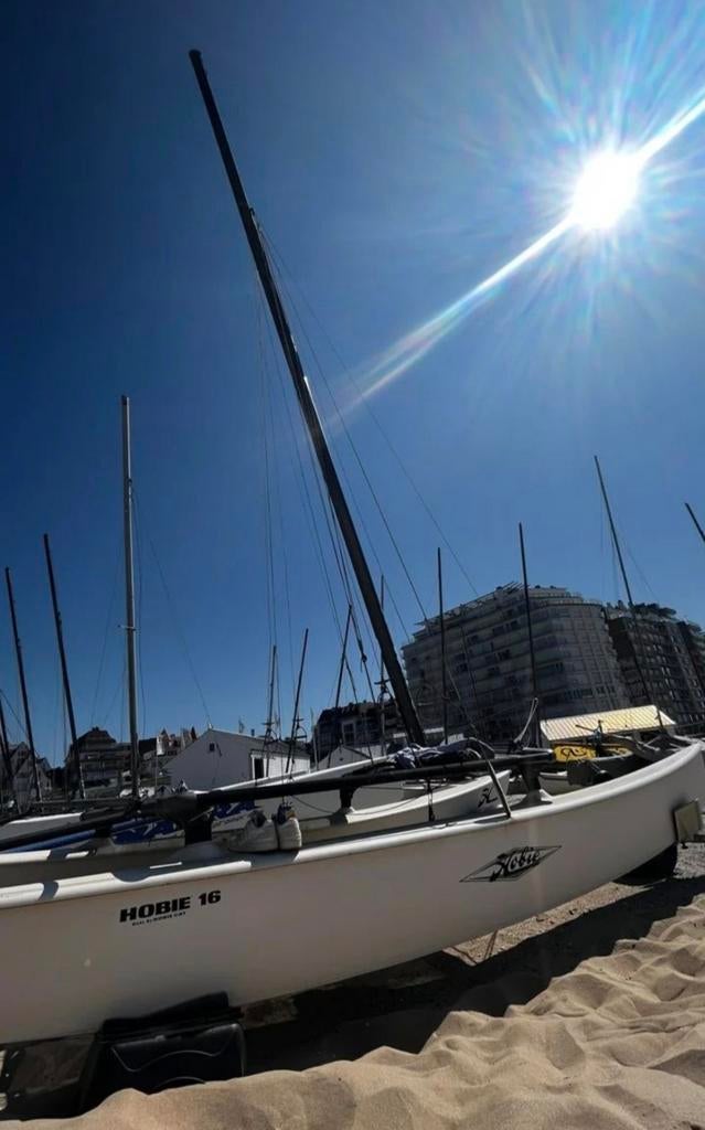 Prachtige Hobie Cat 16 Catamaran met strandkar en strandbox, Ophalen