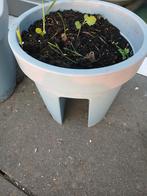 Grote ovalen bloempotten om over een balustrade te hangen., Enlèvement