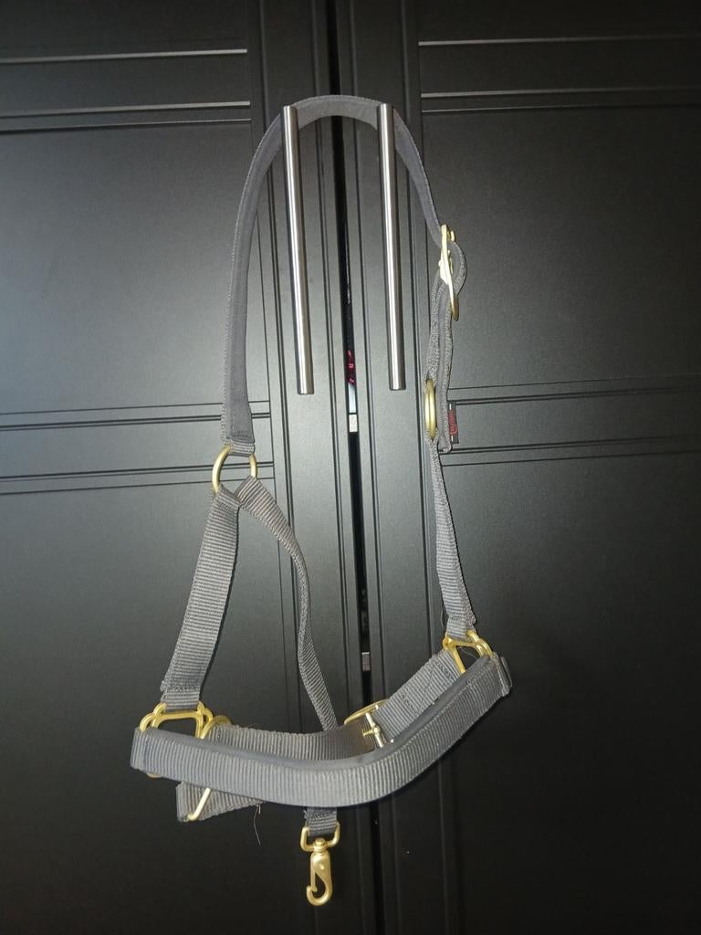 Nieuw halster, Full, Ophalen of Verzenden, Nieuw