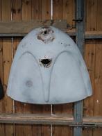 W klep ovaal, Enlèvement