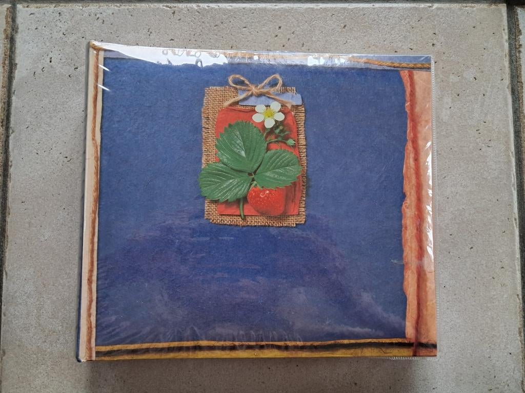 Album photos Brepols 200 photos, Enlèvement ou Envoi, Comme neuf, Album photo