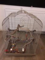 Vogelkooi, Ophalen, Vogelkooi