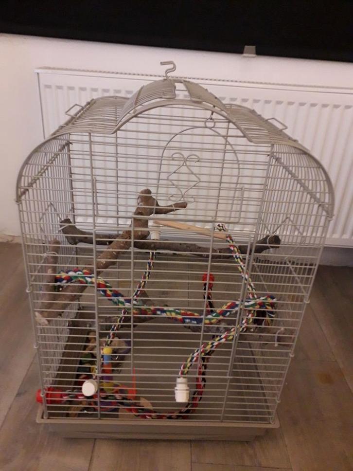 Vogelkooi, Dieren en Toebehoren, Vogels | Hokken en Kooien, Vogelkooi, Ophalen