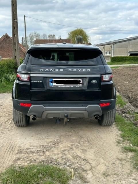 range rover evoque, Auto's, Automaat, Zwart, Leder, Bedrijf
