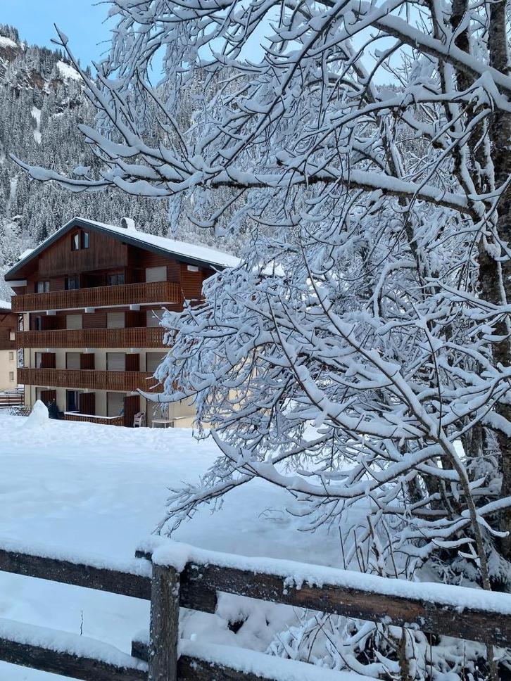 te huur vlakbij de pistes en skilift (Portes du Soleil), Vakantie, Vakantiehuizen | Frankrijk, Alpen, Appartement, Landelijk, In wintersportgebied