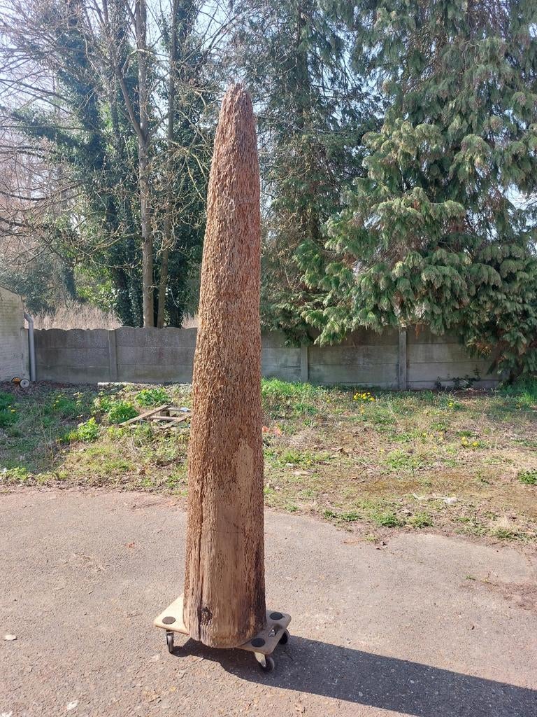 Objet de décoration unique en bois dur, résistant à l'eau, 2, Antiquités & Art, Enlèvement