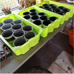 Stevige plastieke dozen met kweekpotten 1€/set, 5€ alle ZES, Enlèvement ou Envoi