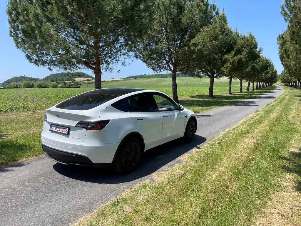 Tesla model y, Auto's, Tesla, Automaat, Parkeerassistent, Zwart, Wit