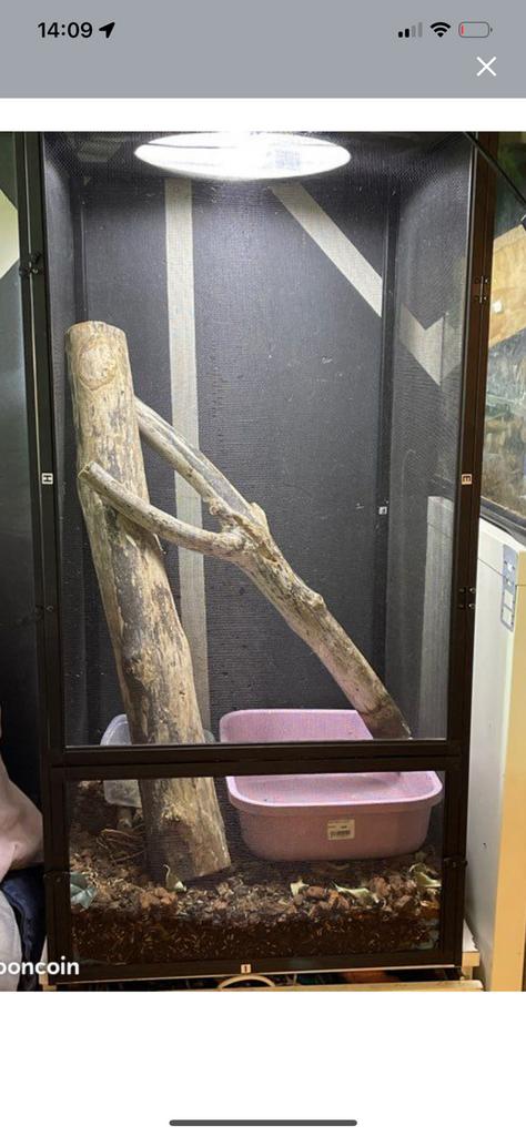 Terrarium, Animaux & Accessoires