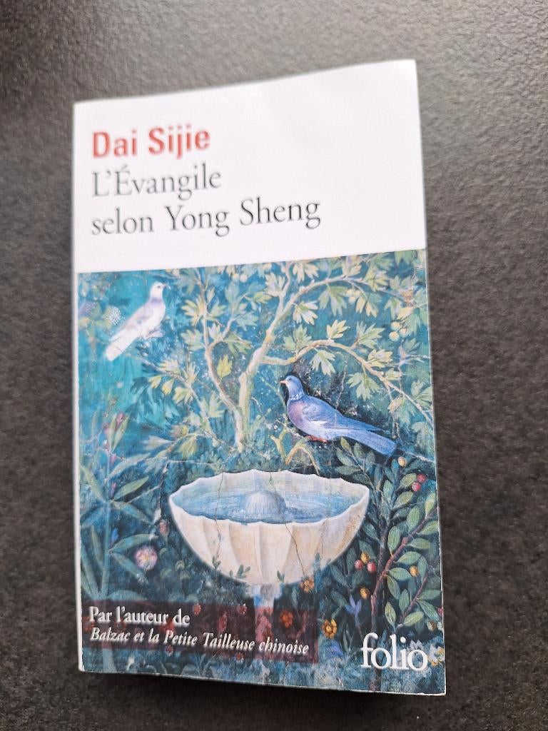 L'Evangile selon Yong Sheng - Dai Sijie, Livres, Dai Sijie, Comme neuf, Enlèvement, Reste du monde