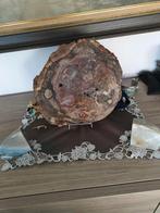 Versteend hout met kristallen, Verzamelen, Mineralen en Fossielen, Ophalen