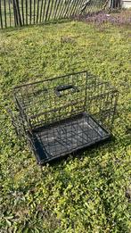 Dierenkooi, Dieren en Toebehoren, Ophalen, Gebruikt