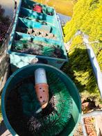 Meerkamerfilter + vortex, Ophalen