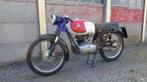 Gilera 150 Super Sport 1957, Sport