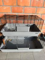 Konijnenhokken voor binnen van het merk ‘flamingo’, Niche, Enlèvement, Utilisé, Cobaye