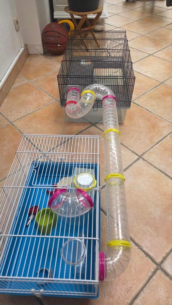 2 kooien voor muis/hamster/....of andere knaagdieren, Ophalen, Kooi, Muis