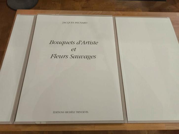 Coffret Pecnard 10 Lithographies Signées 128/160, Antiquités & Art, Art | Lithographies & Sérigraphies, Enlèvement