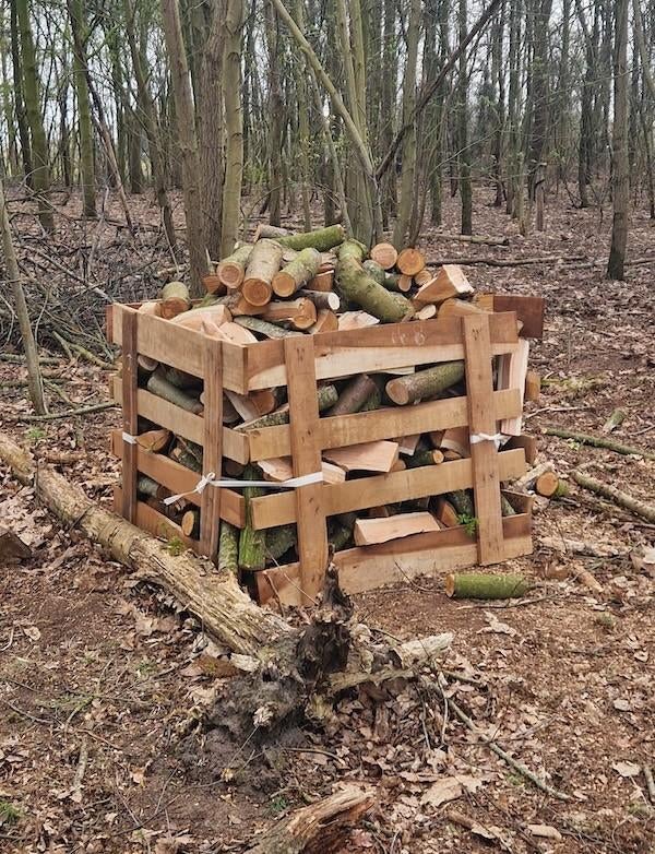 Vers brandhout amerikaanse vogelkers/eik, zelf op te halen, Tuin en Terras, Brandhout, Blokken, Overige houtsoorten, Minder dan 3 m³