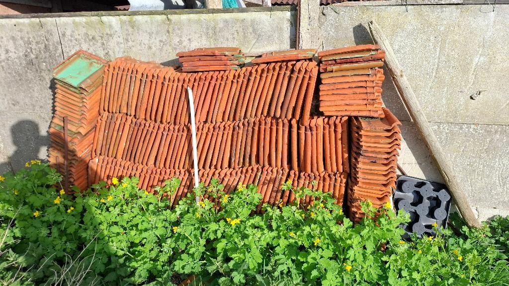 Dakpannen sterreberg, Doe-het-zelf en Bouw, Dakpannen en Dakbedekking, Ophalen, Gebruikt, Dakpannen